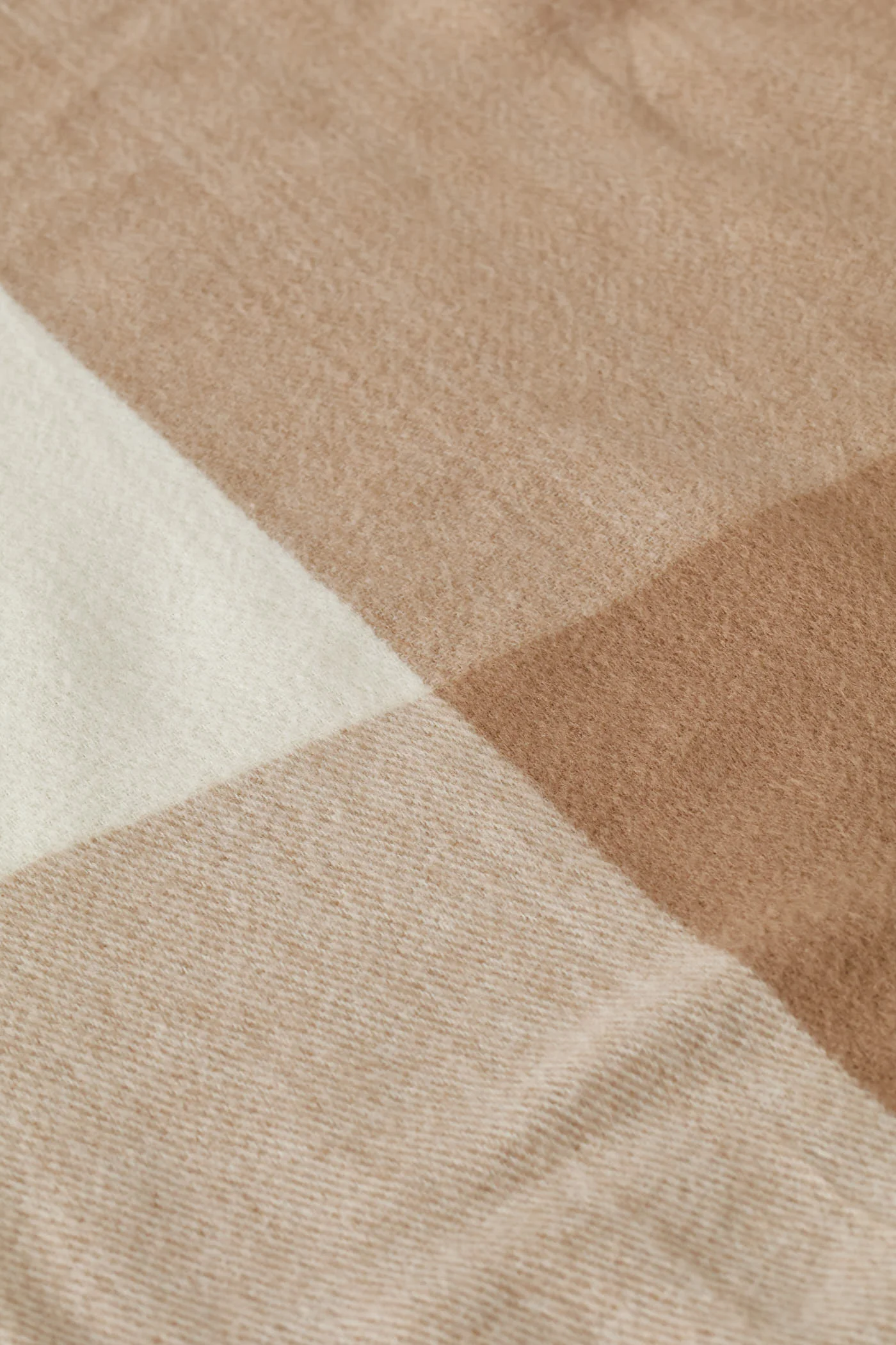 Check Tassel Scarf - Beige - Image 2