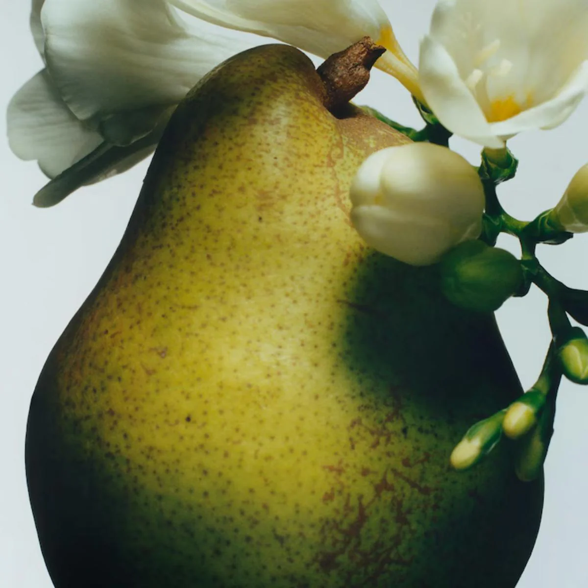 English Pear & Freesia Body Crème - Image 5