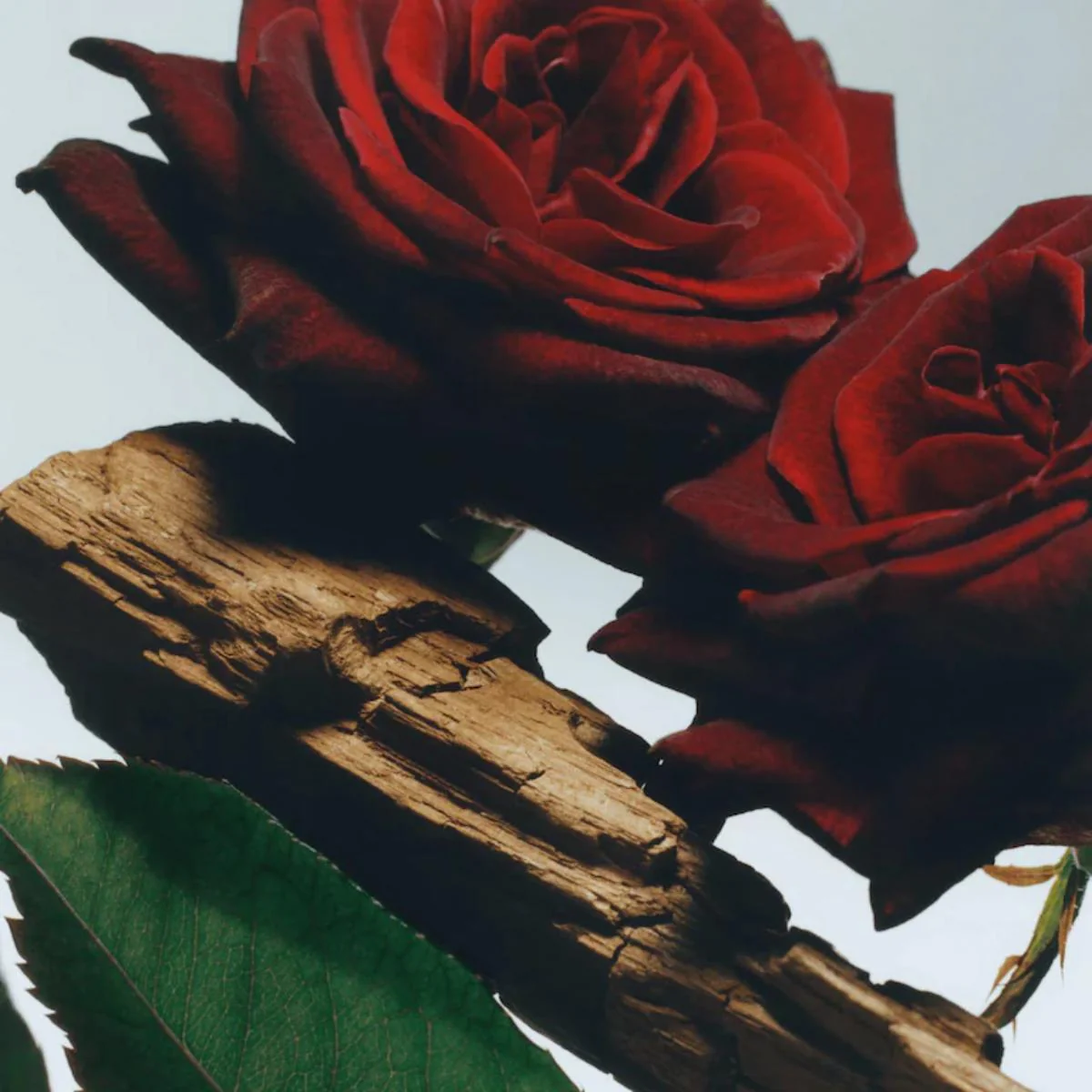 Velvet Rose & Oud Body Crème - Image 6