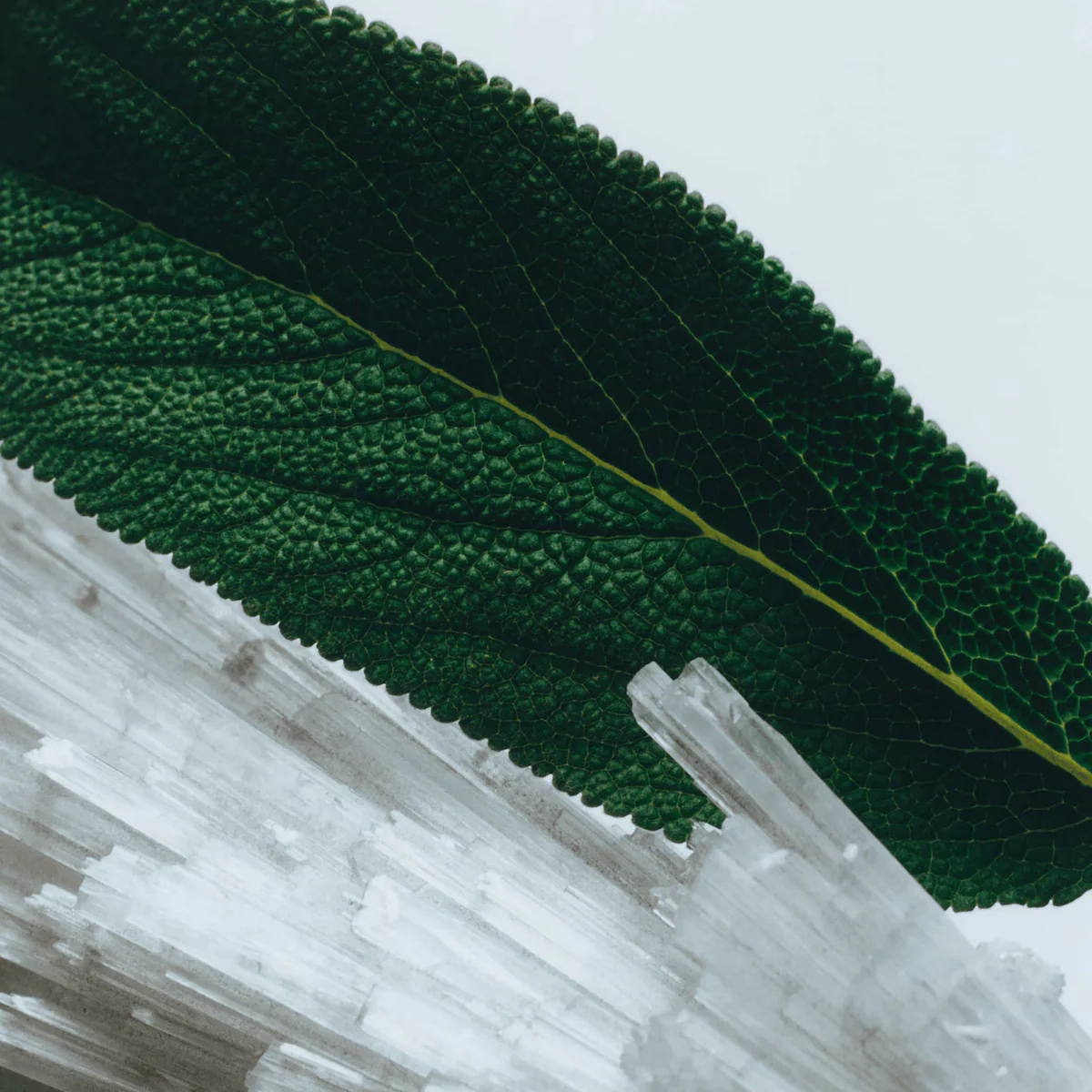 Wood Sage & Sea Salt Hair Mist - Image 3