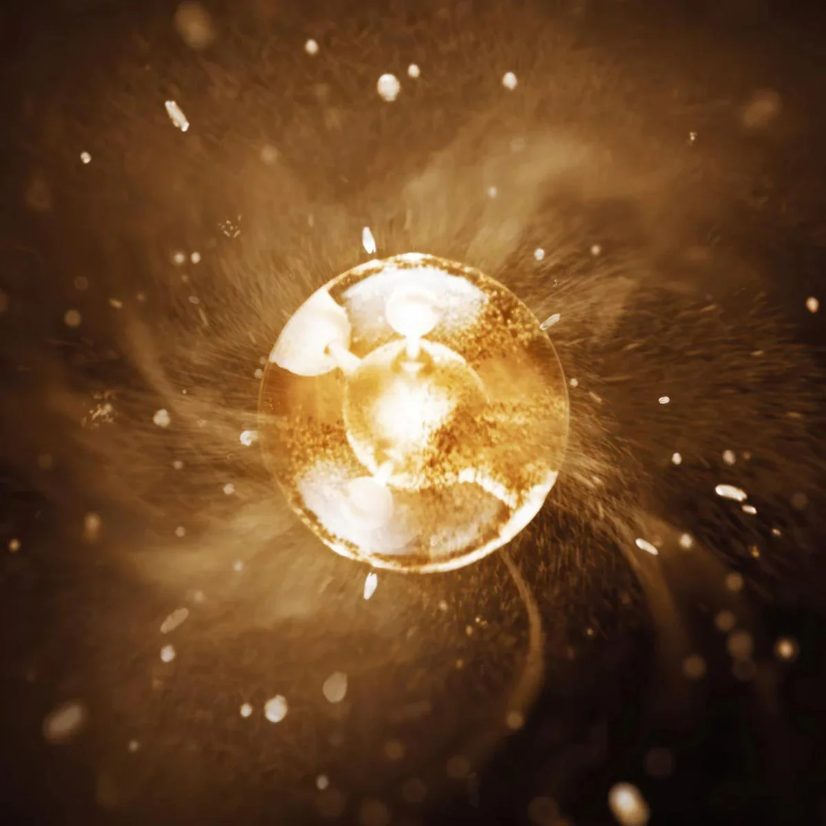 Pure Gold Radiance Cream - Image 3