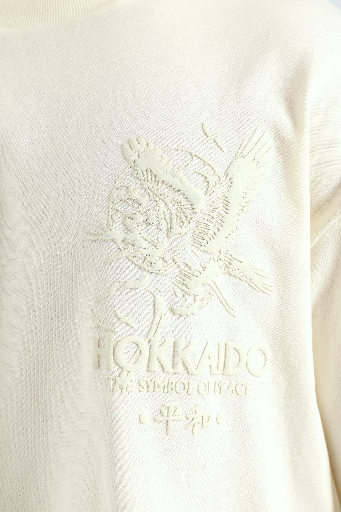 Oversized Tonal Eagle Front & Back Print Tee - Ecru - Image 2