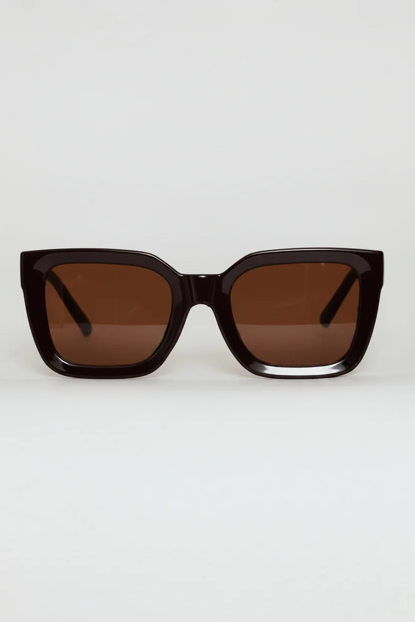 Square Plastic Frame Brown Lens Sunglasses - Chocolate