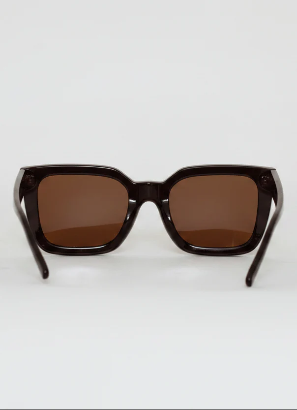 Square Plastic Frame Brown Lens Sunglasses - Chocolate - Image 4